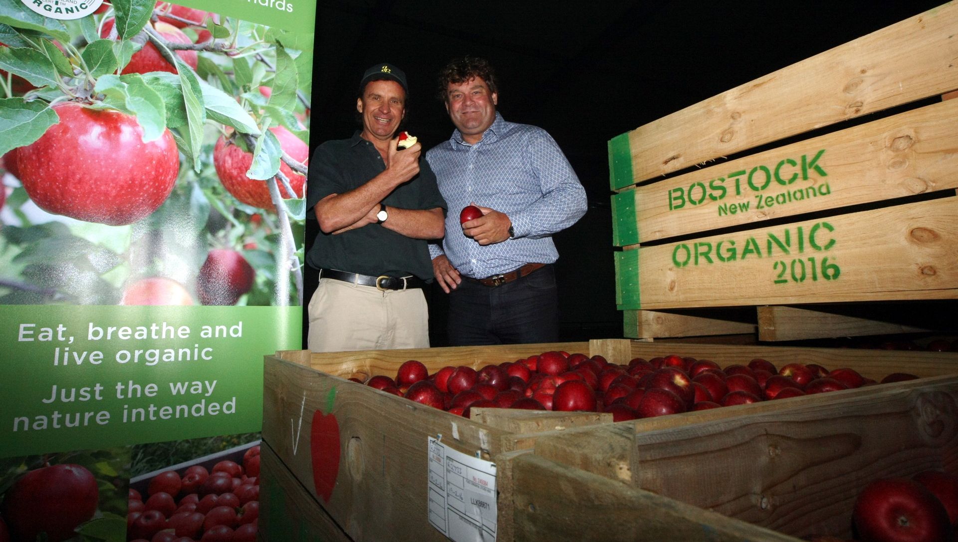 SweeTango Apples Arrive From New Zealand - Perishable News