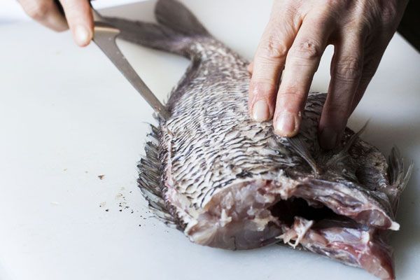 How To Gut & Scale Fish - Chef Simonetta