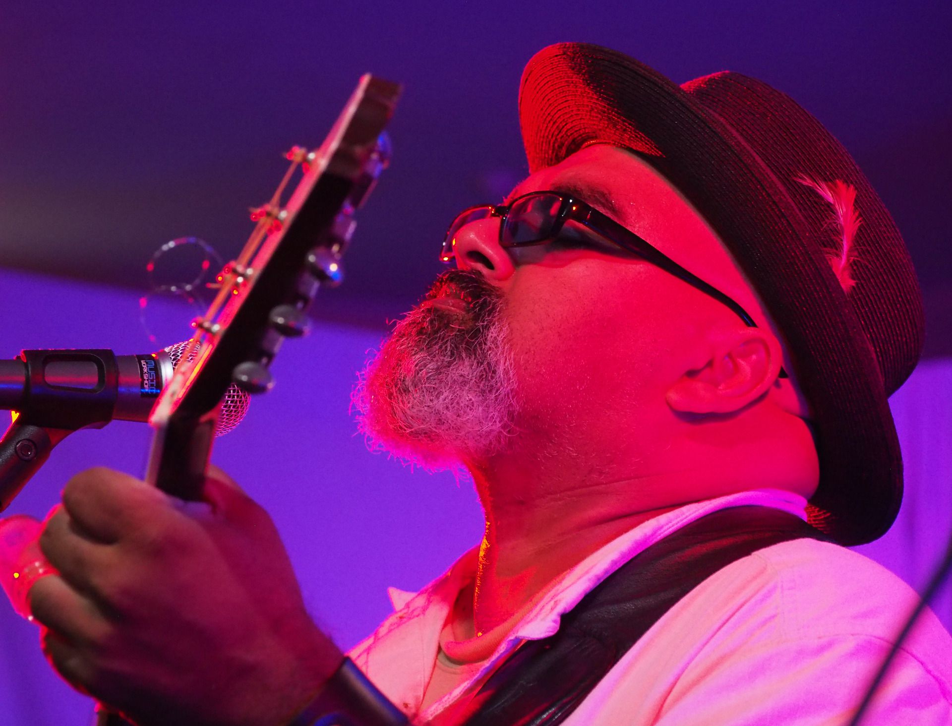 Bay News Bites Jazz and blues fest returns with bumper lineup