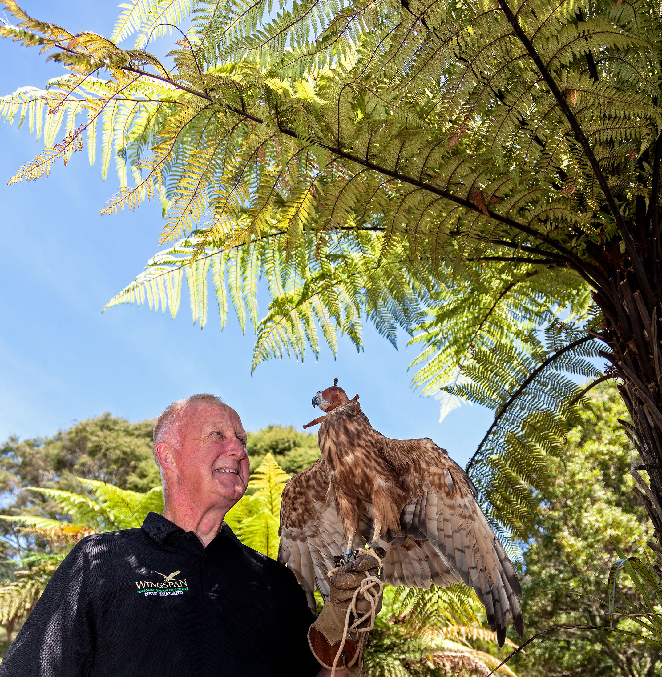 Wingspan National Bird of Prey Centre