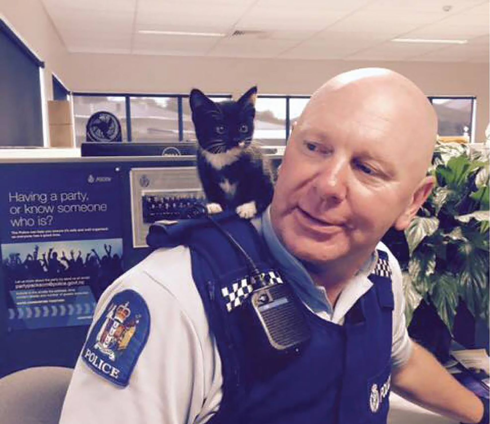 Meet Troy Police Cat Donut