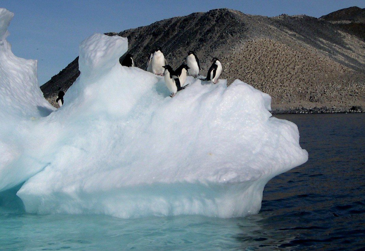 Antarctica: Into the icy wilderness - NZ Herald