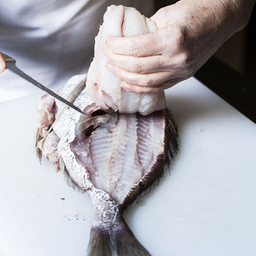 How to scale, gut and fillet a fish - NZ Herald