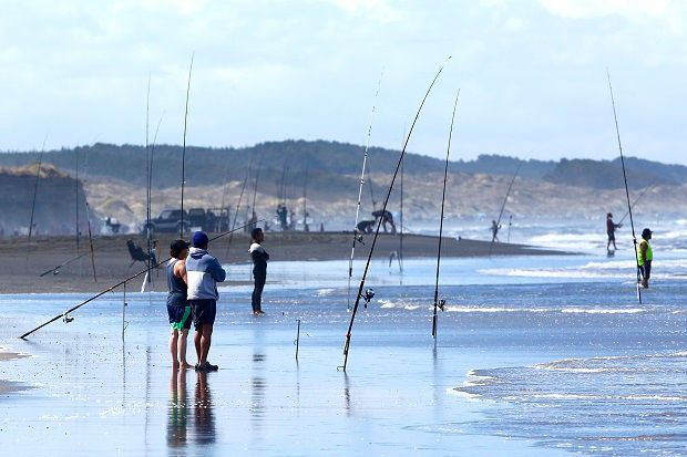 Participants support new format for two-day fishing competition at  Whanganui's South Beach - NZ Herald