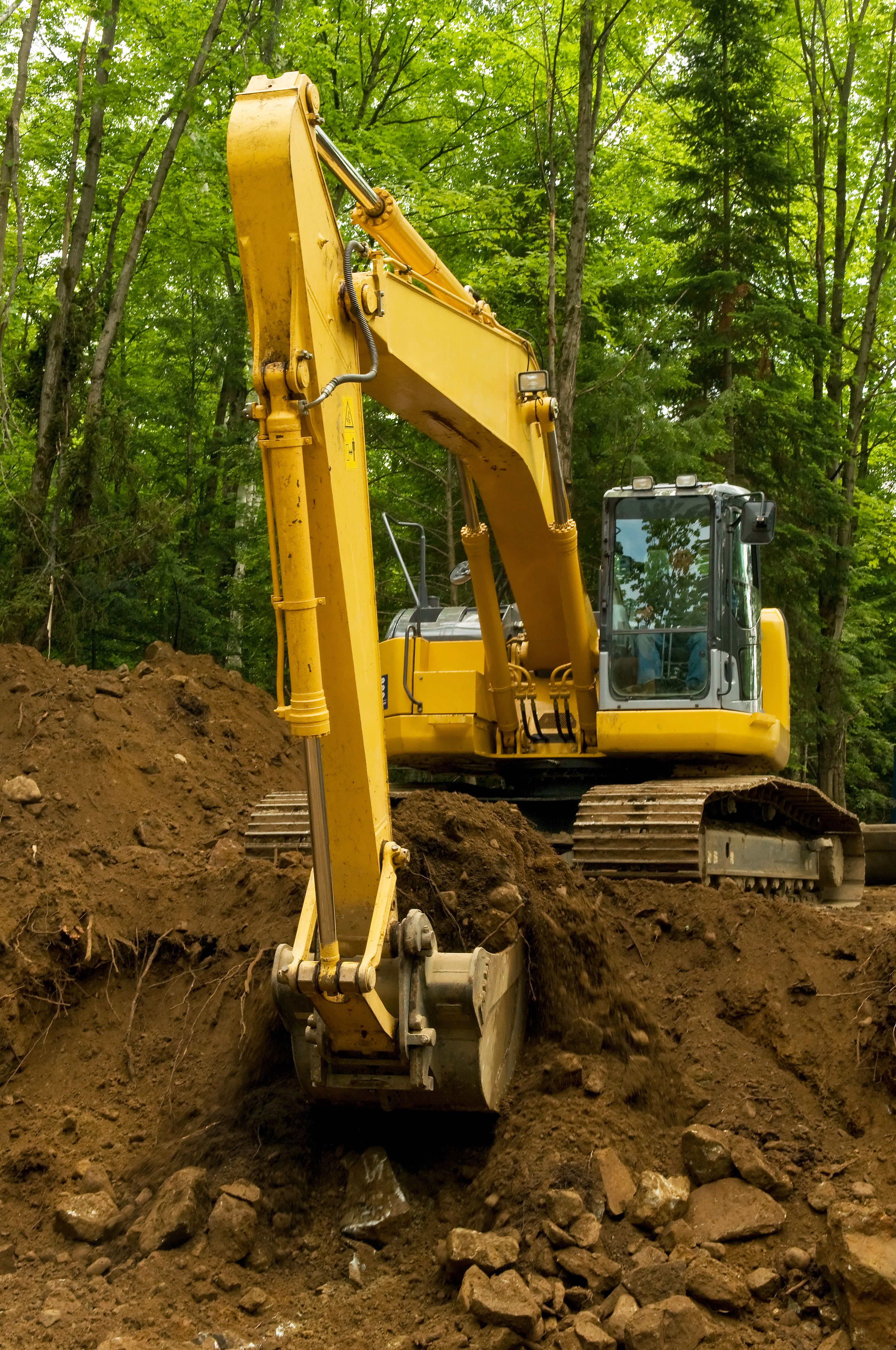 Earthworks contractor fined 25k for illegal clearing NZ Herald