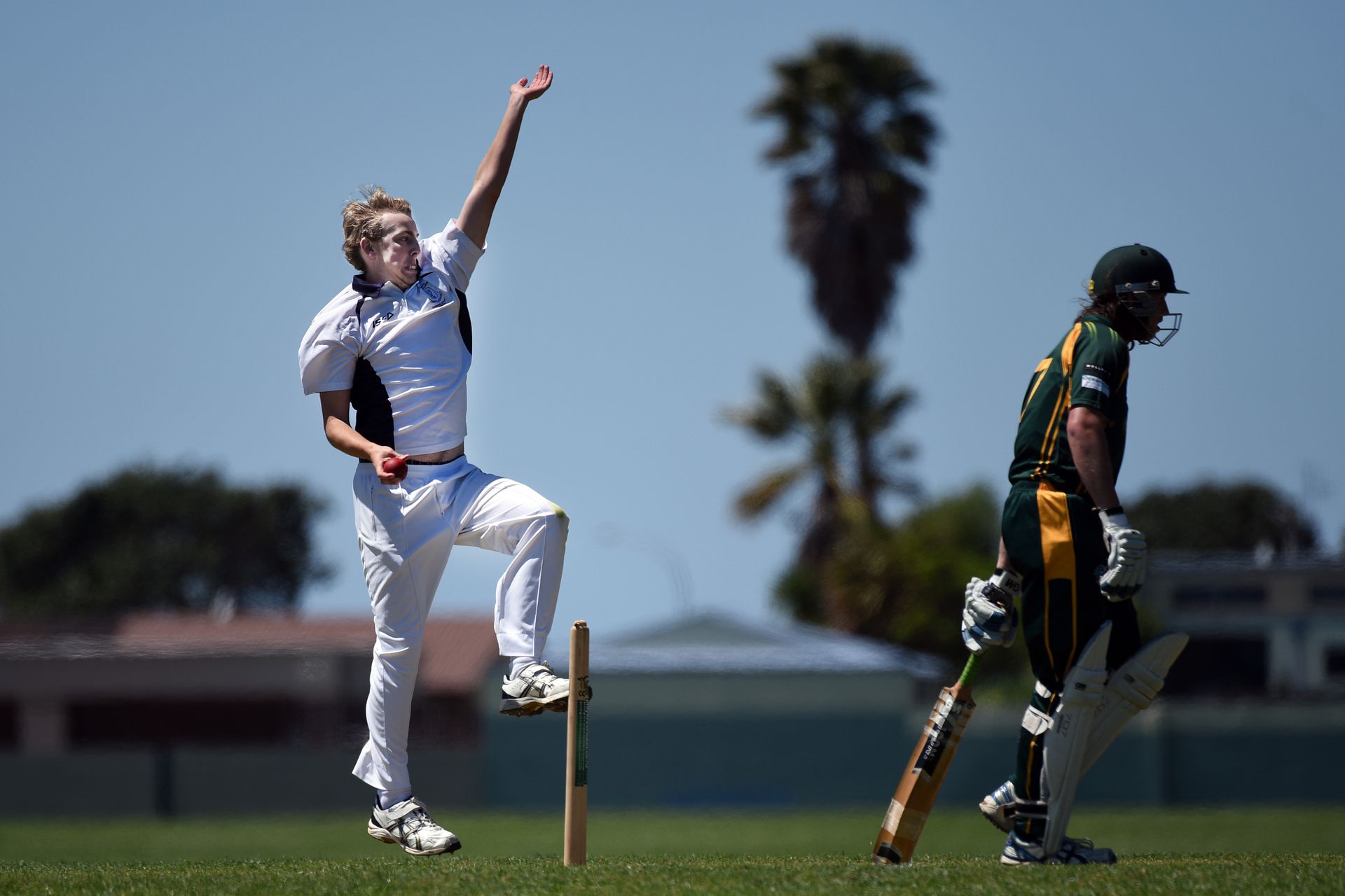 Cricket Cadets Battle Back To Defeat Mount Nz Herald