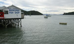 Game fishing: Houhora One Base marks 25 years - NZ Herald