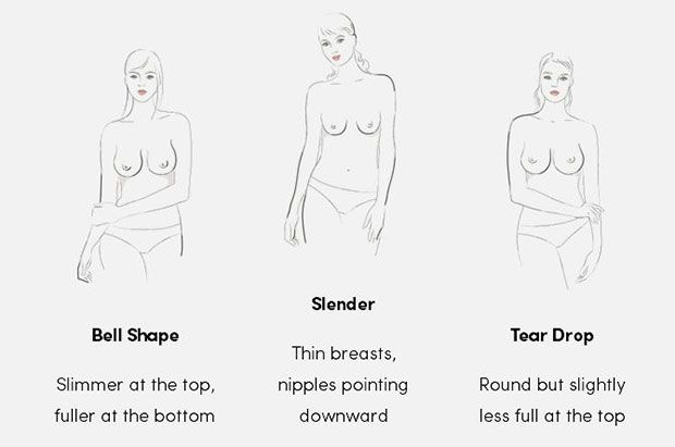 The 7 types of breast shapes, according to a lingerie brand - NZ Herald