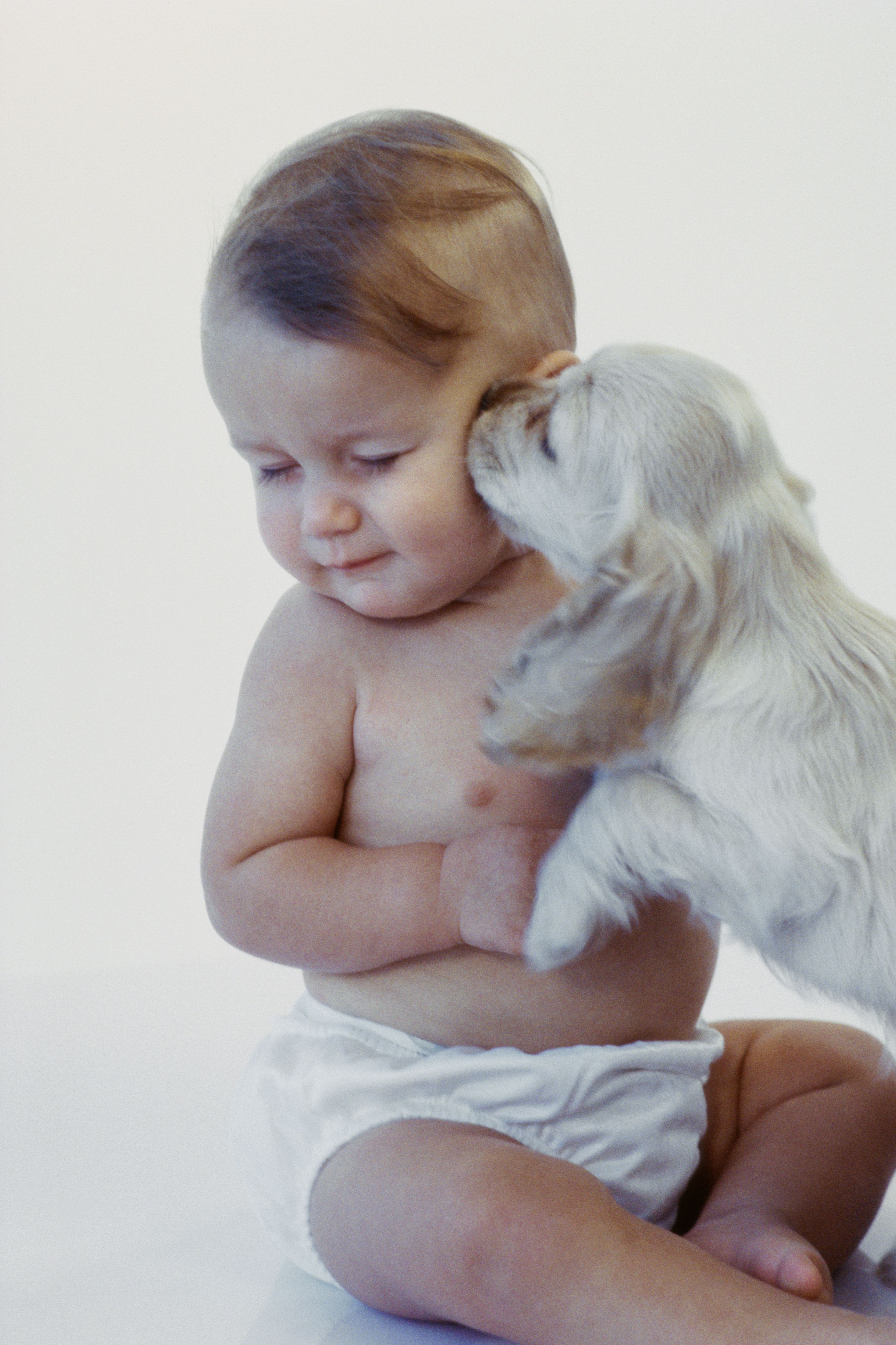 why do dogs react to babies crying