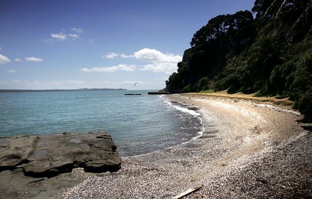 Voyeur Beach Cum - Auckland nudist beach Ladies Bay set to unveil name options for historical  signs - NZ Herald