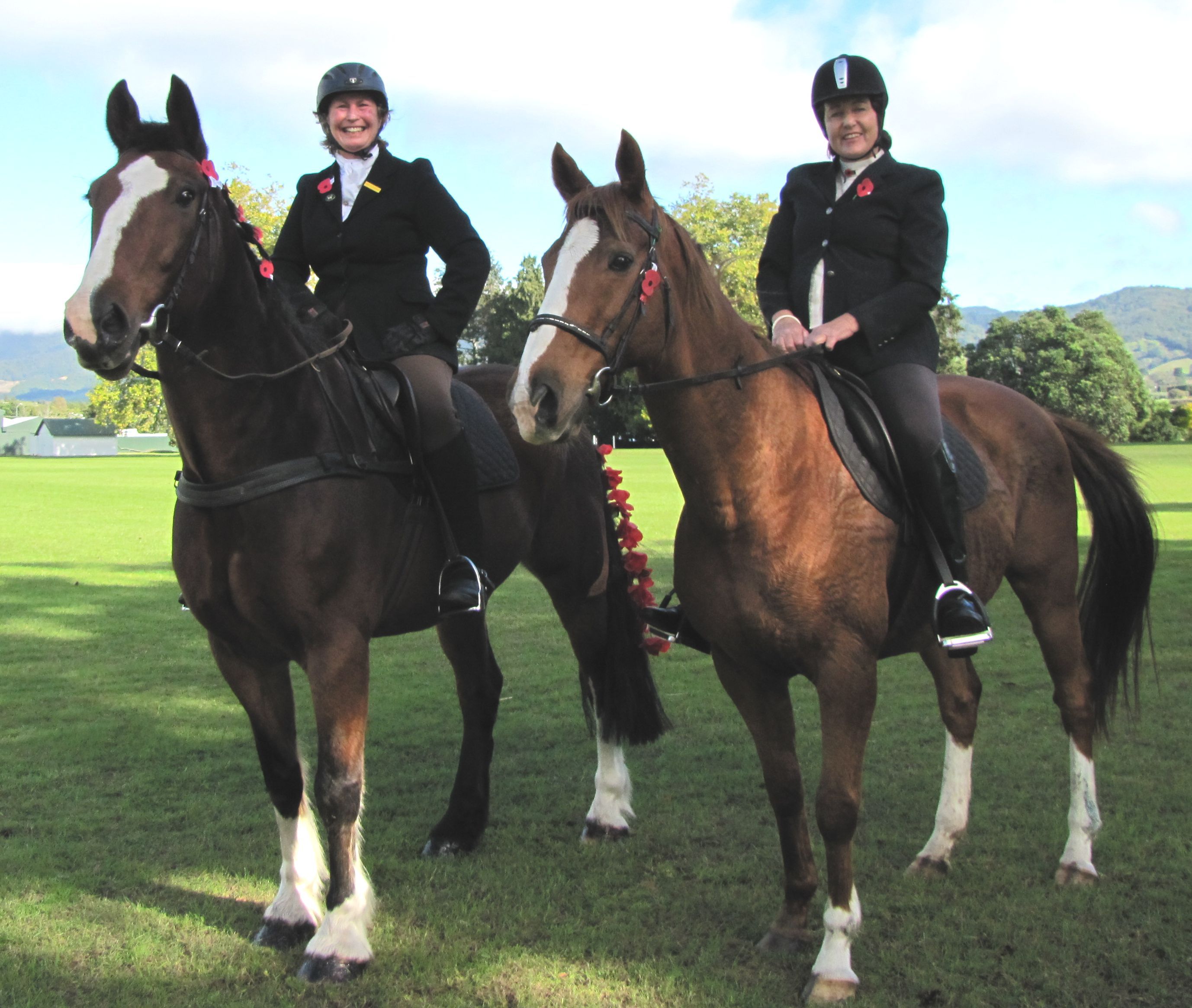 Anzac 2016 Remembering the troopers horses NZ Herald