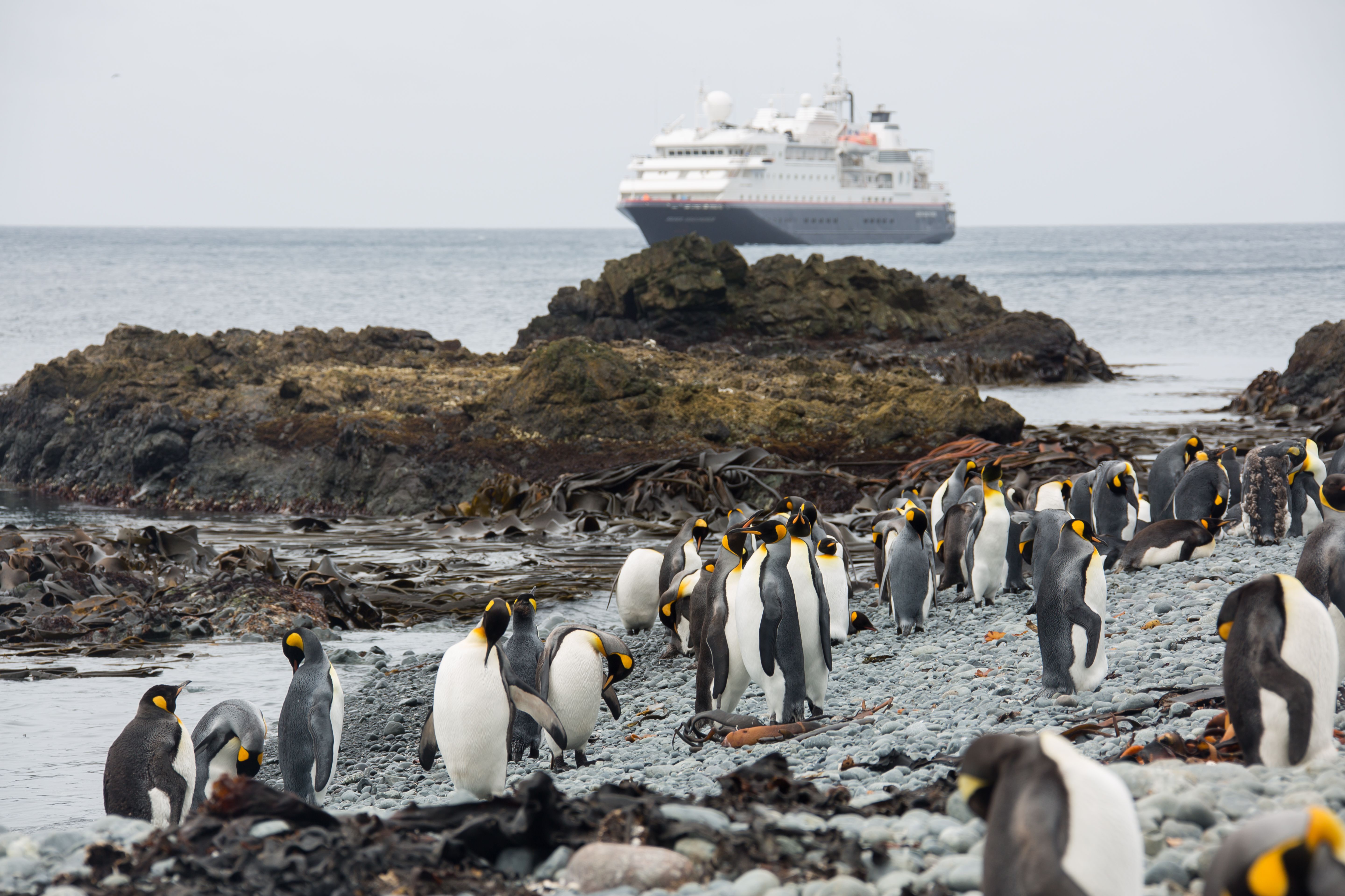 Learning the ropes of Antarctic exploration in the wilds of