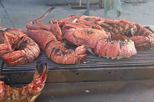 Fresh Barbecued Crayfish Nz Herald
