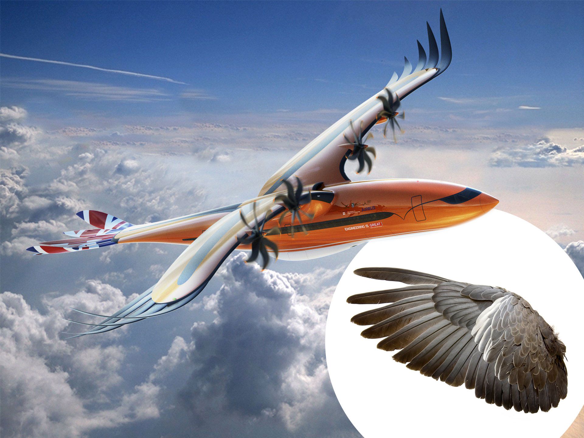 Nature Inspires Wing-in-Ground-Effect Aircraft, 2021-11-12