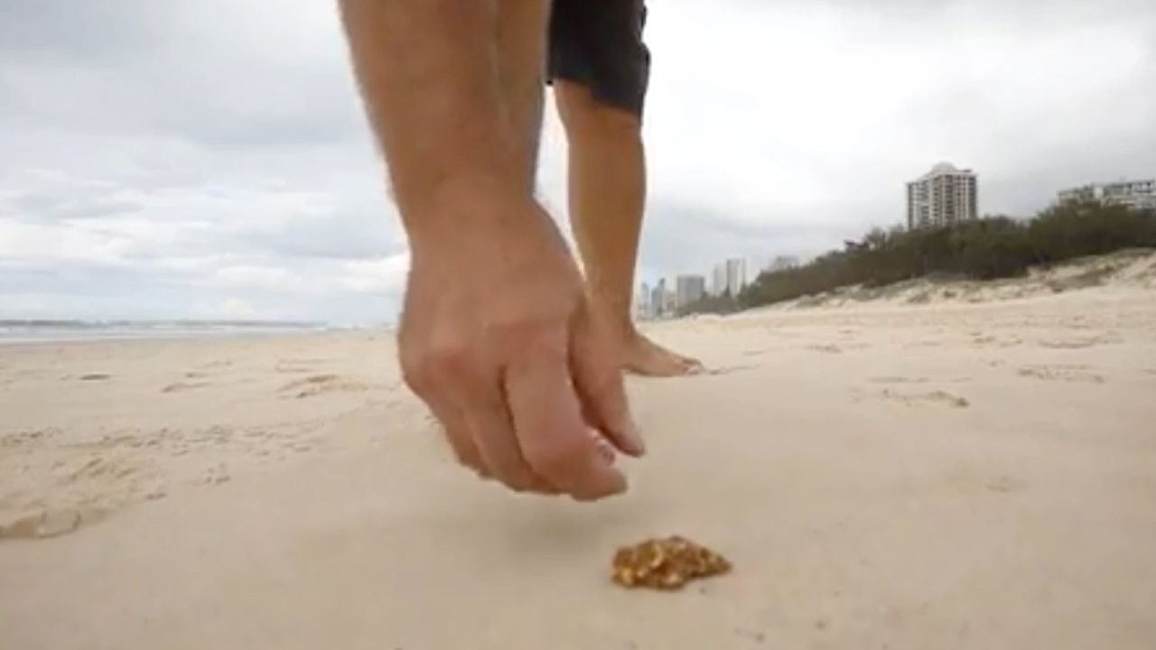 Family finds gold nugget worth $24,000 while walking their dog