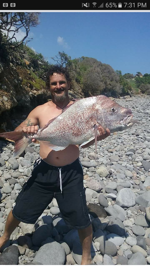 Surfer bags 11kg snapper with bare hands while on the water - NZ Herald