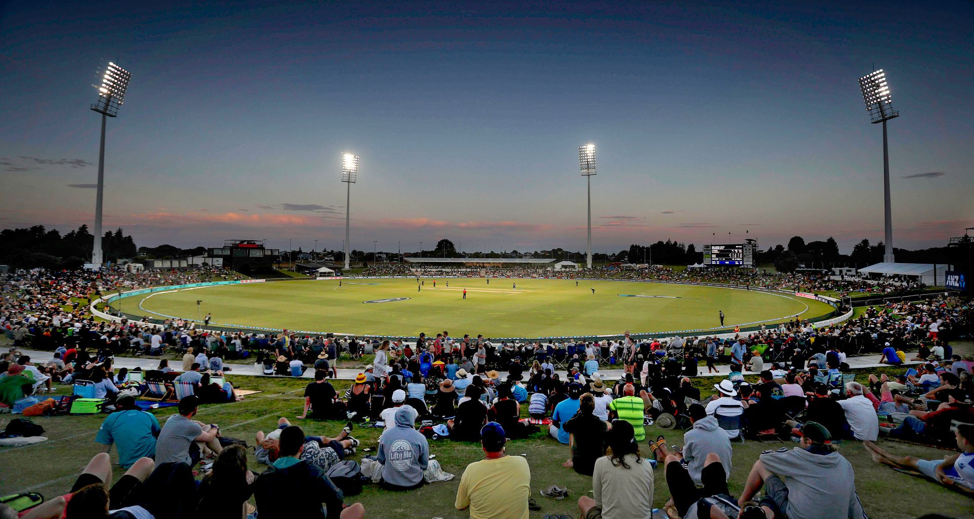 Cricket: Dominant Bay back on path to cup - NZ Herald