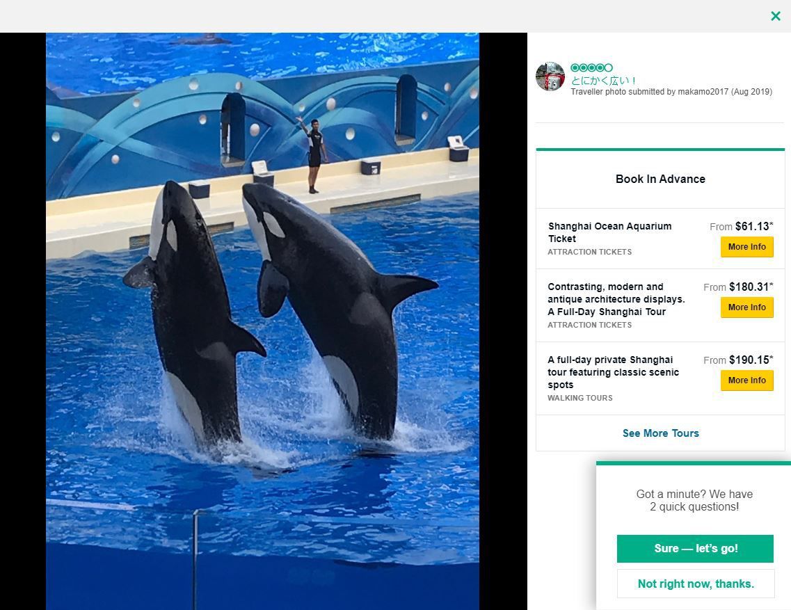 TripAdvisor bans the sale of tickets to SeaWorld