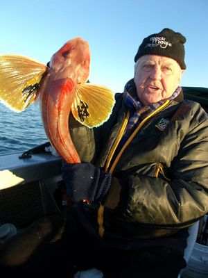 TV fishing series spotlight on Waihau Bay 'tuna rush' - NZ Herald