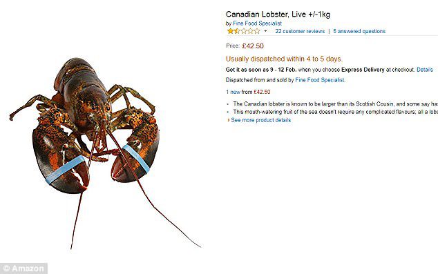 Fury at Amazon's delivery of live lobsters - NZ Herald