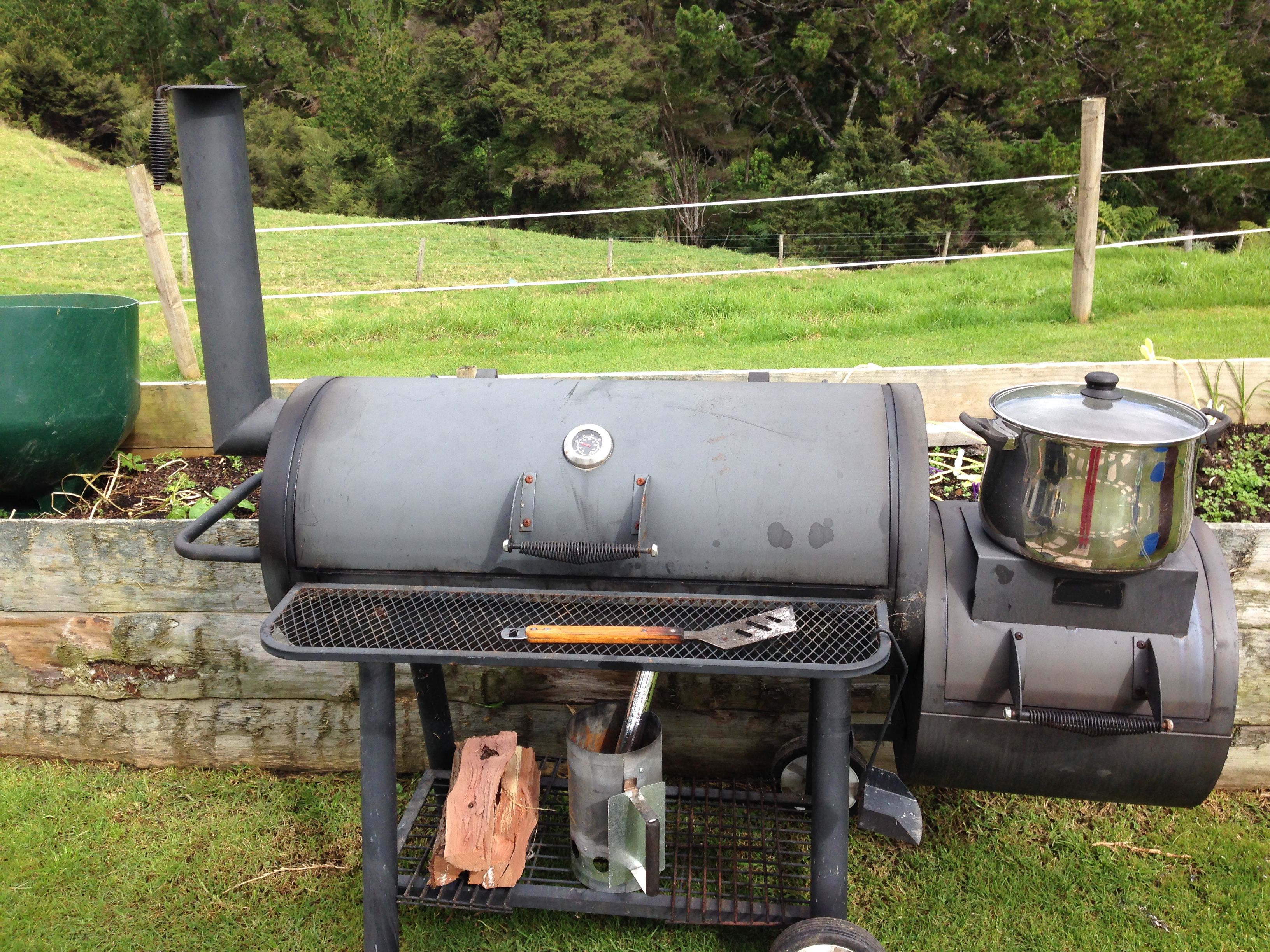 Spit roast accident at birthday party near Coromandel leaves two burned -  NZ Herald