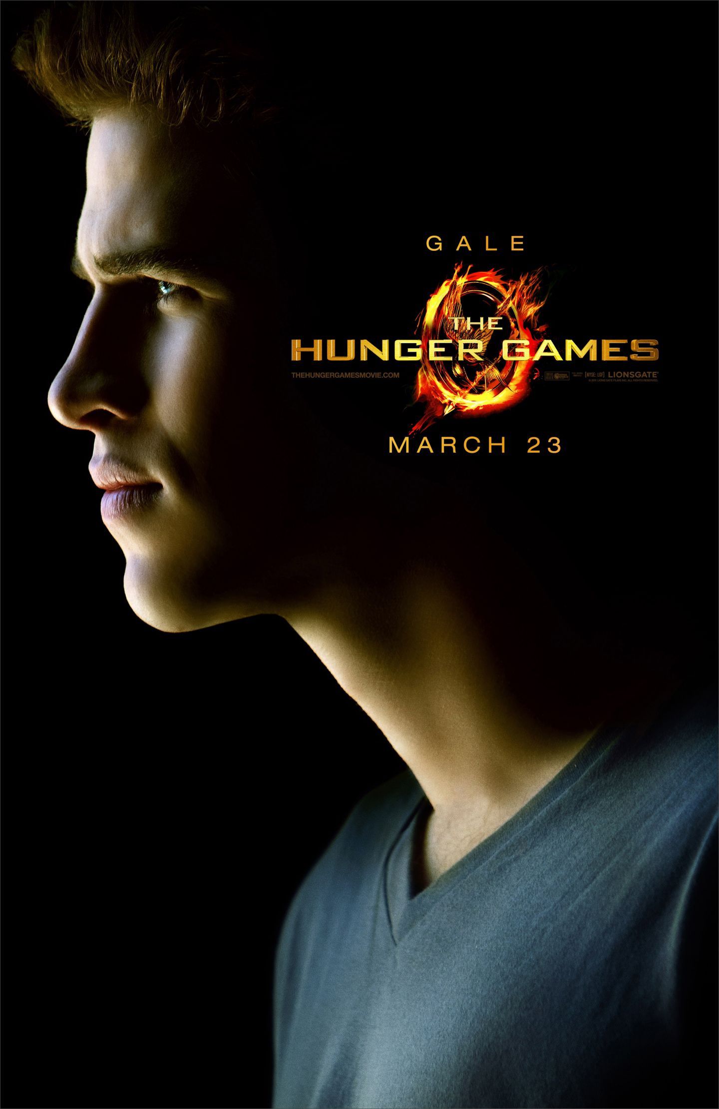 Pop Culture Graphics The Hunger Games Catching Fire Movie Poster, 11 x 17 