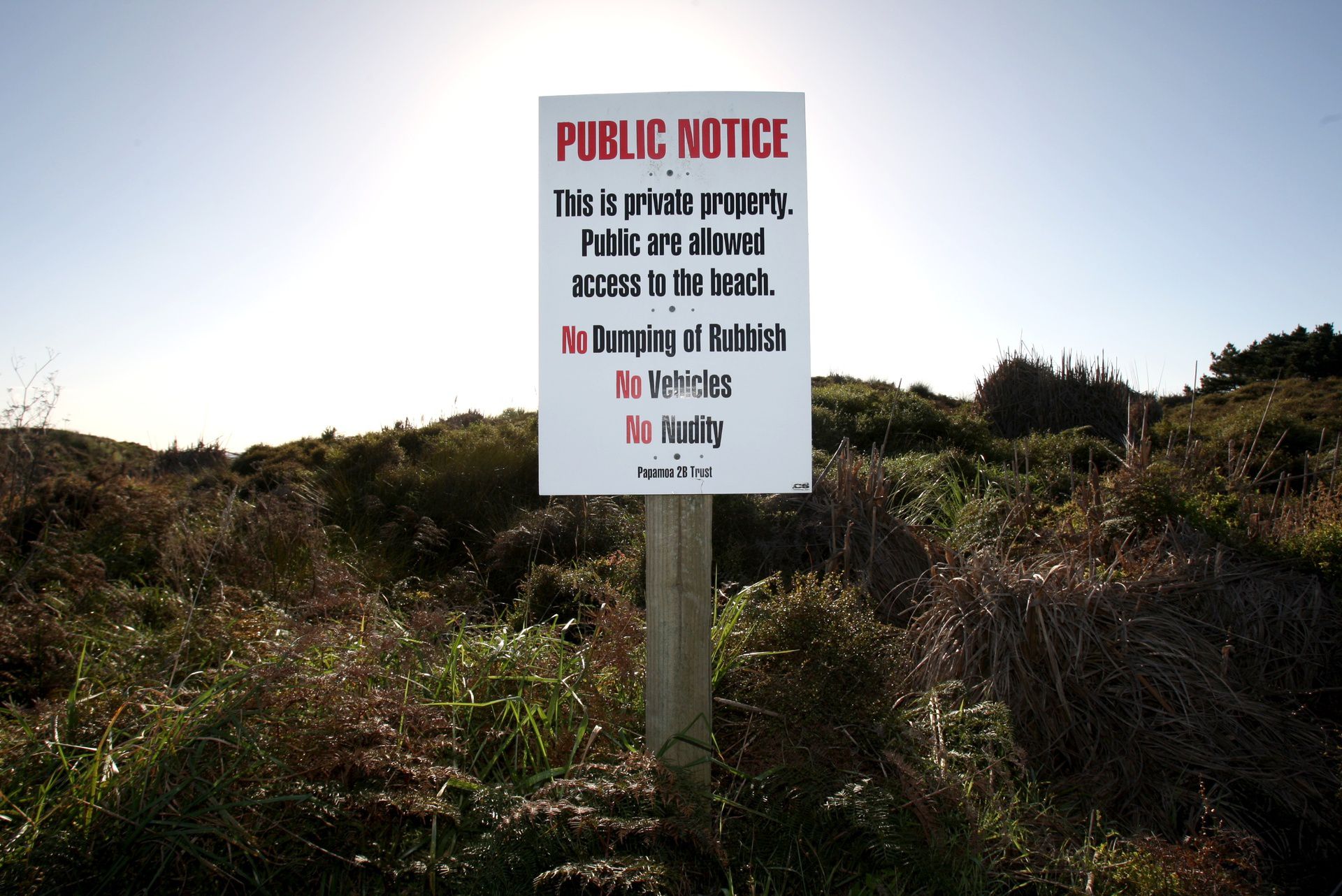 Private Nude Beach People - Dawn Picken: Bodies are beautiful - why do some of us have trouble with  public nudity? - NZ Herald