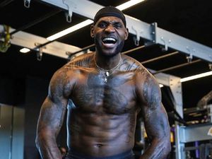 Lebron james versaclimber online workout